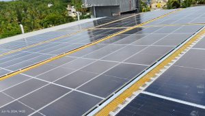 WhatsApp Image 2024-12-25 at 12.38.36 (1)